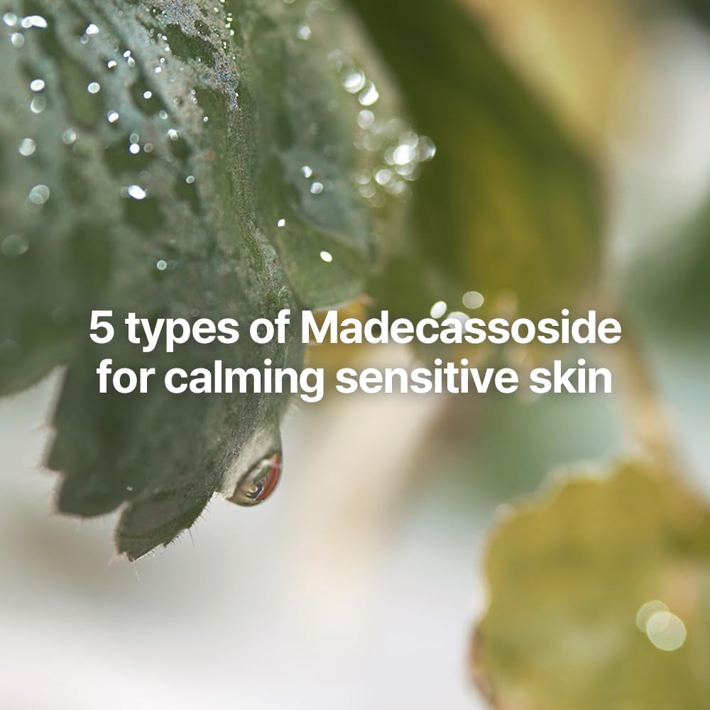 [PKY]  Calming Skincare Gift Set with Premium Gift Wrapping, Vegan, Korean Skincare (3-Item Set) Stocking Stuffer Christmas Holiday New Year Gift Set